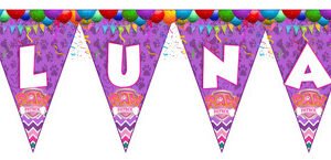 Pawpatroll 3 Banderín Cartel, Nombre Violeta Paw Patrol 3